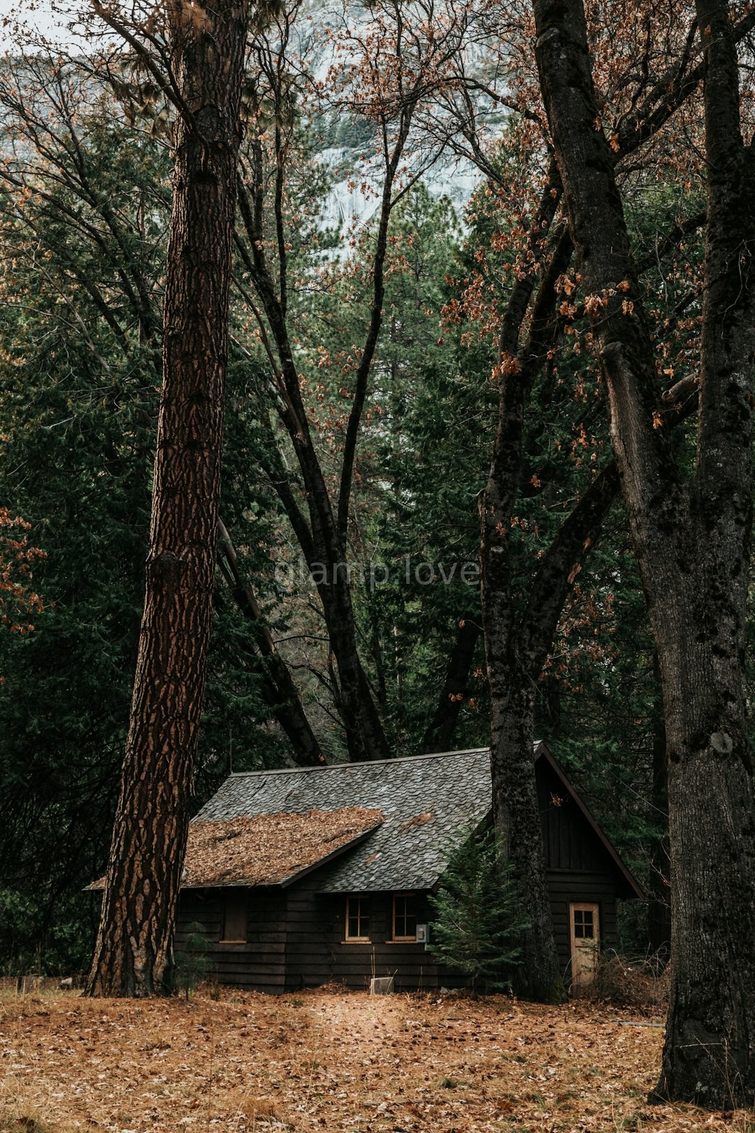 Nature Cabin Hero